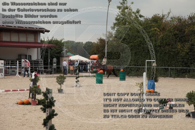s_IMG_4310.JPG